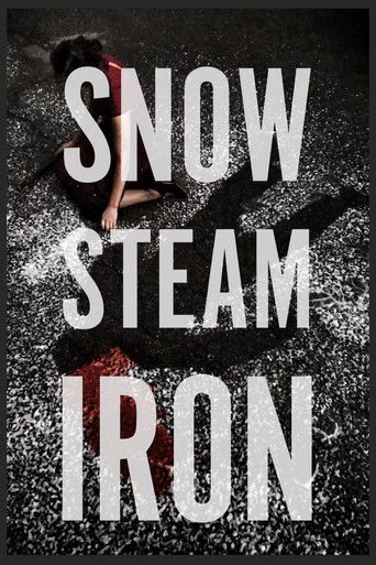 Snow Steam Iron movie poster