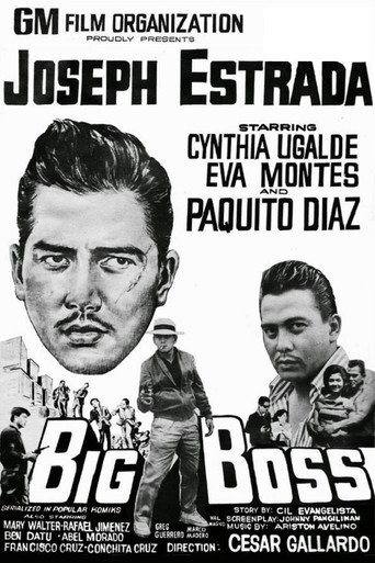 Big Boss movie poster