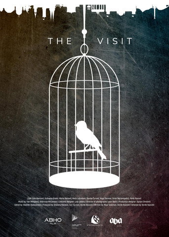 The Visit movie poster