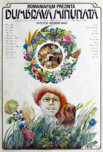 The Enchanted Grove movie poster