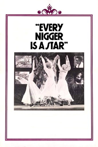 Every Nigger Is a Star movie poster