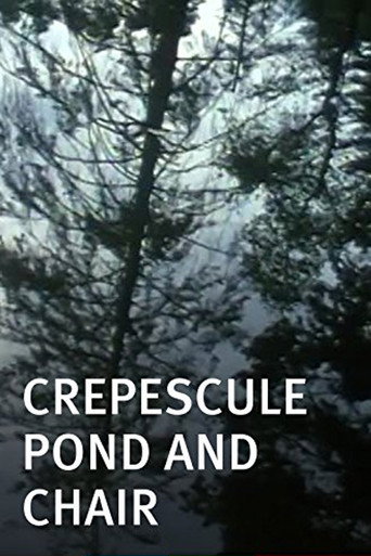Crepescule Pond and Chair movie poster