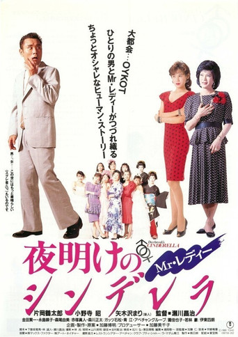 Mr. Lady Cinderella at Dawn movie poster