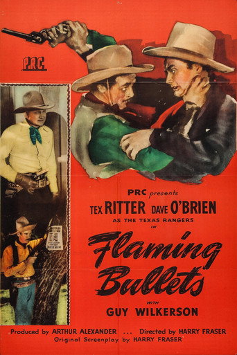 Flaming Bullets movie poster