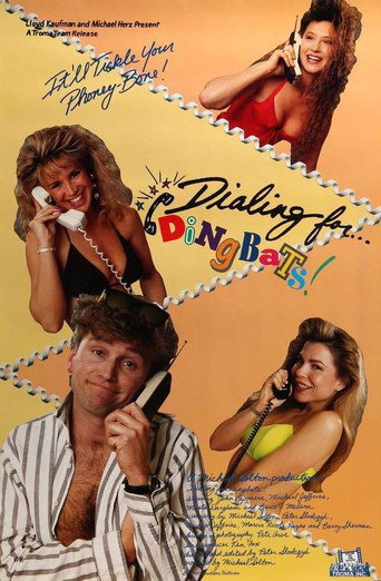 Dialing for Dingbats movie poster