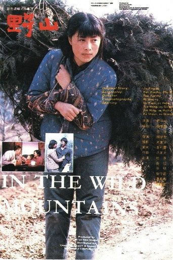 In the Wild Mountains movie poster