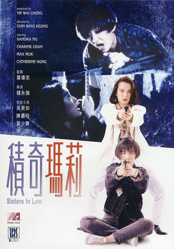Sisters In Law movie poster