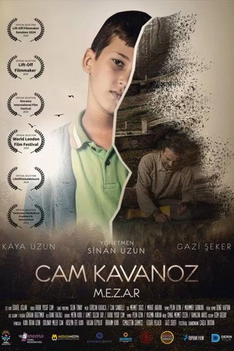 Cam Kavanoz movie poster