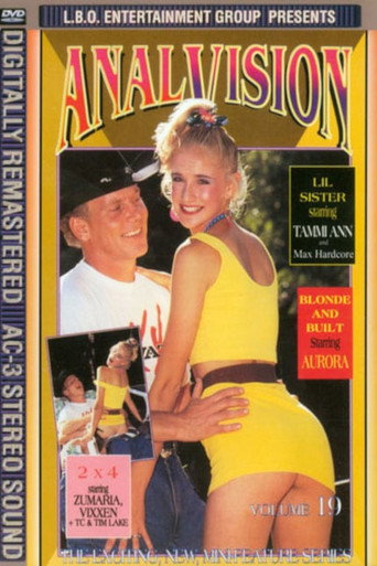 Anal Vision 19 movie poster