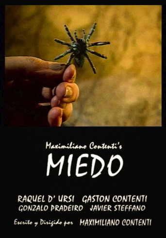 Fear movie poster