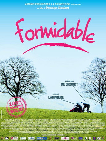 Formidable movie poster