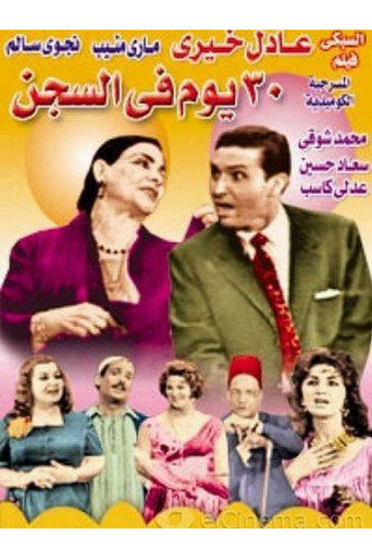 30 Days in Prison movie poster