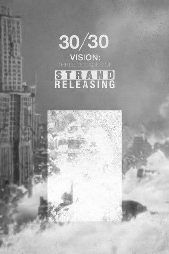 30/30 Vision: Three Decades of Strand Releasing movie poster