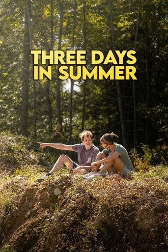 Three Days in Summer movie poster