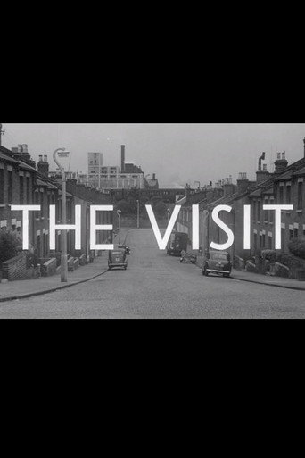 The Visit movie poster