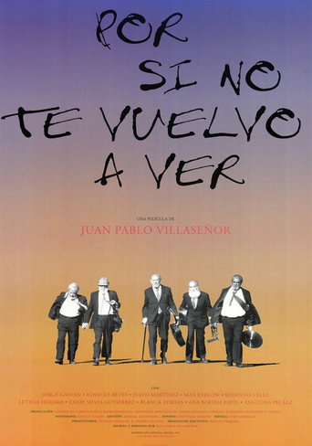 If I Never See You Again movie poster