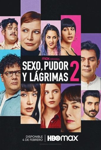 Sex, Shame and Tears 2 movie poster