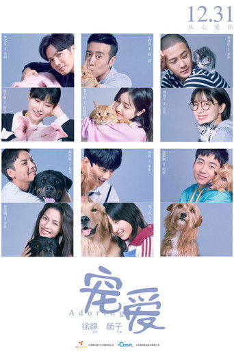 Adoring movie poster