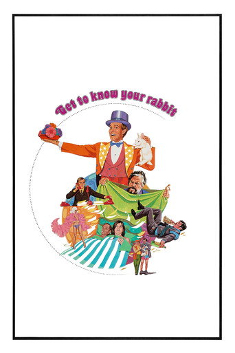 Get to Know Your Rabbit movie poster