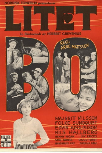 Litet bo movie poster