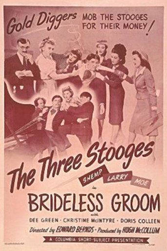 Brideless Groom movie poster