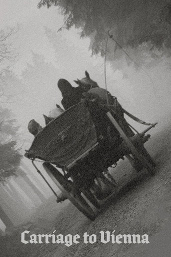 Carriage to Vienna movie poster