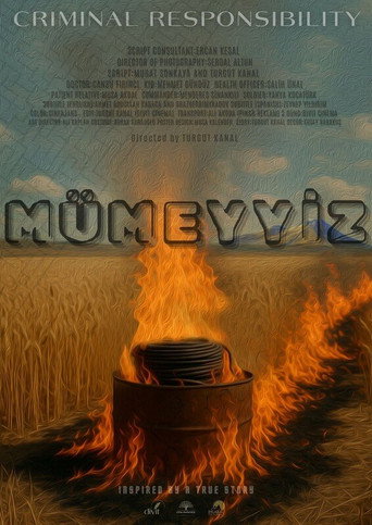 Criminal Responsibility movie poster
