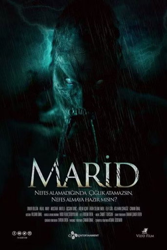 Marid movie poster
