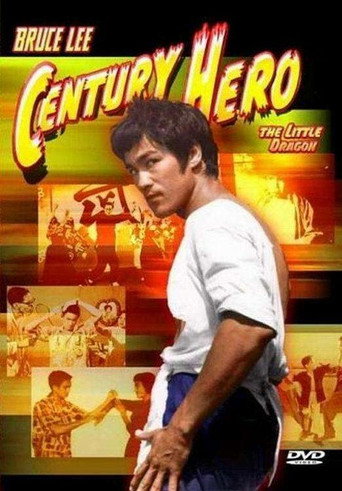 Bruce Lee: Century Hero movie poster