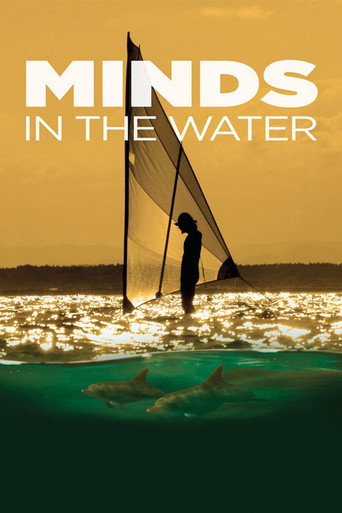 Minds in the Water movie poster