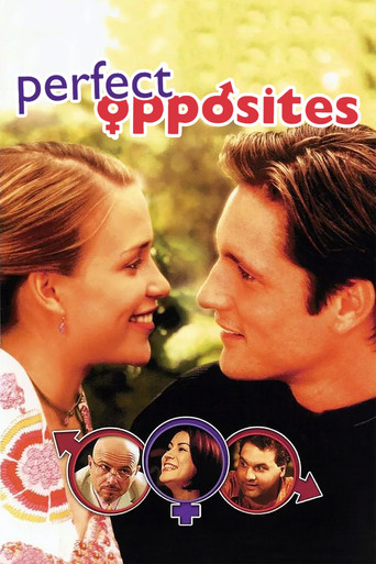 Perfect Opposites movie poster