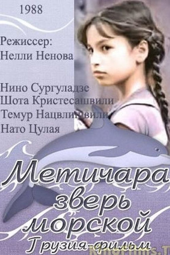 Metichara movie poster