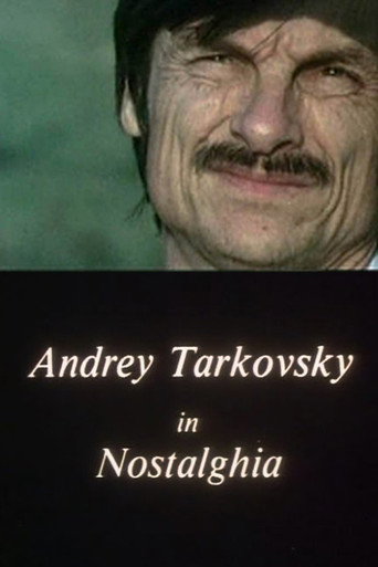 Andrey Tarkovsky in Nostalghia movie poster