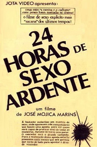 24 Hours of Explicit Sex movie poster