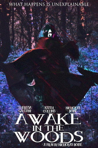 Awake In The Woods movie poster