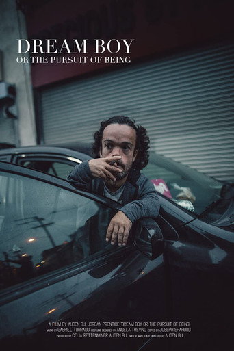 Dream Boy or the Pursuit of Being movie poster