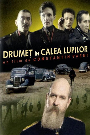 Drumeț în calea lupilor movie poster