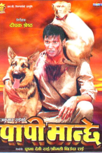 Papi Manchhe movie poster