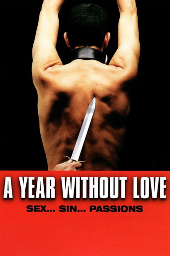 A Year Without Love movie poster