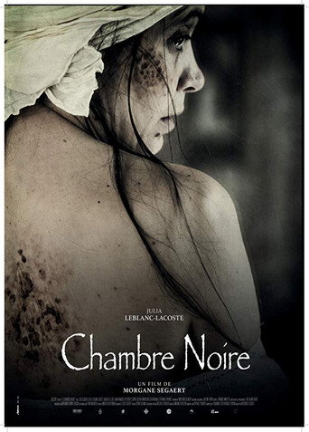 The Dark Room movie poster