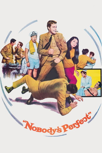 Nobody's Perfect movie poster