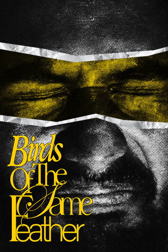 Birds Of The Same Feather. movie poster