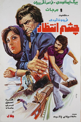 Cheshme Entezar movie poster