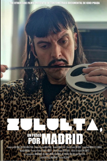 Zulueta, un paseo por Madrid movie poster