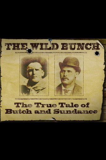 The Wild Bunch: The True Tale of Butch and Sundance movie poster