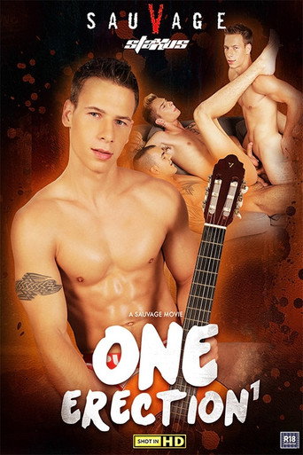 One Erection movie poster