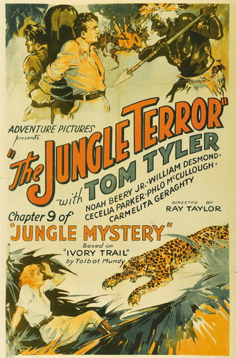 Jungle Mystery movie poster
