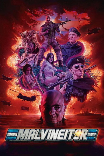Malvineitor movie poster