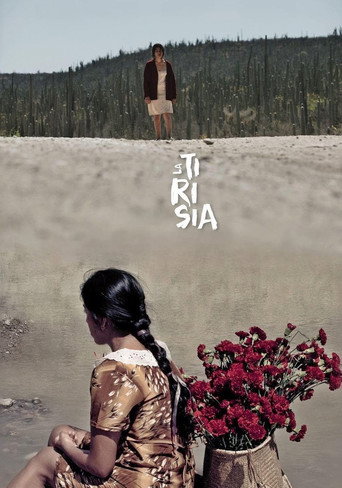 Perpetual Sadness movie poster