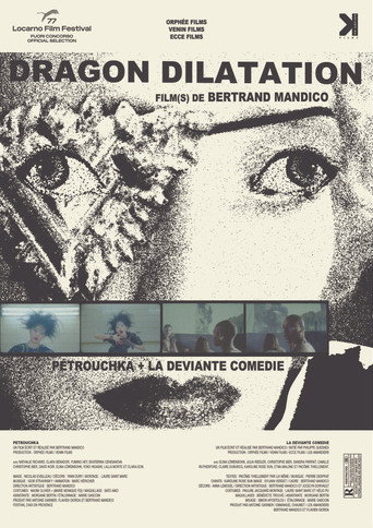 Dragon Dilatation movie poster